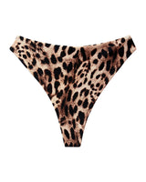 CALCINHA LOREN - LEOPARD